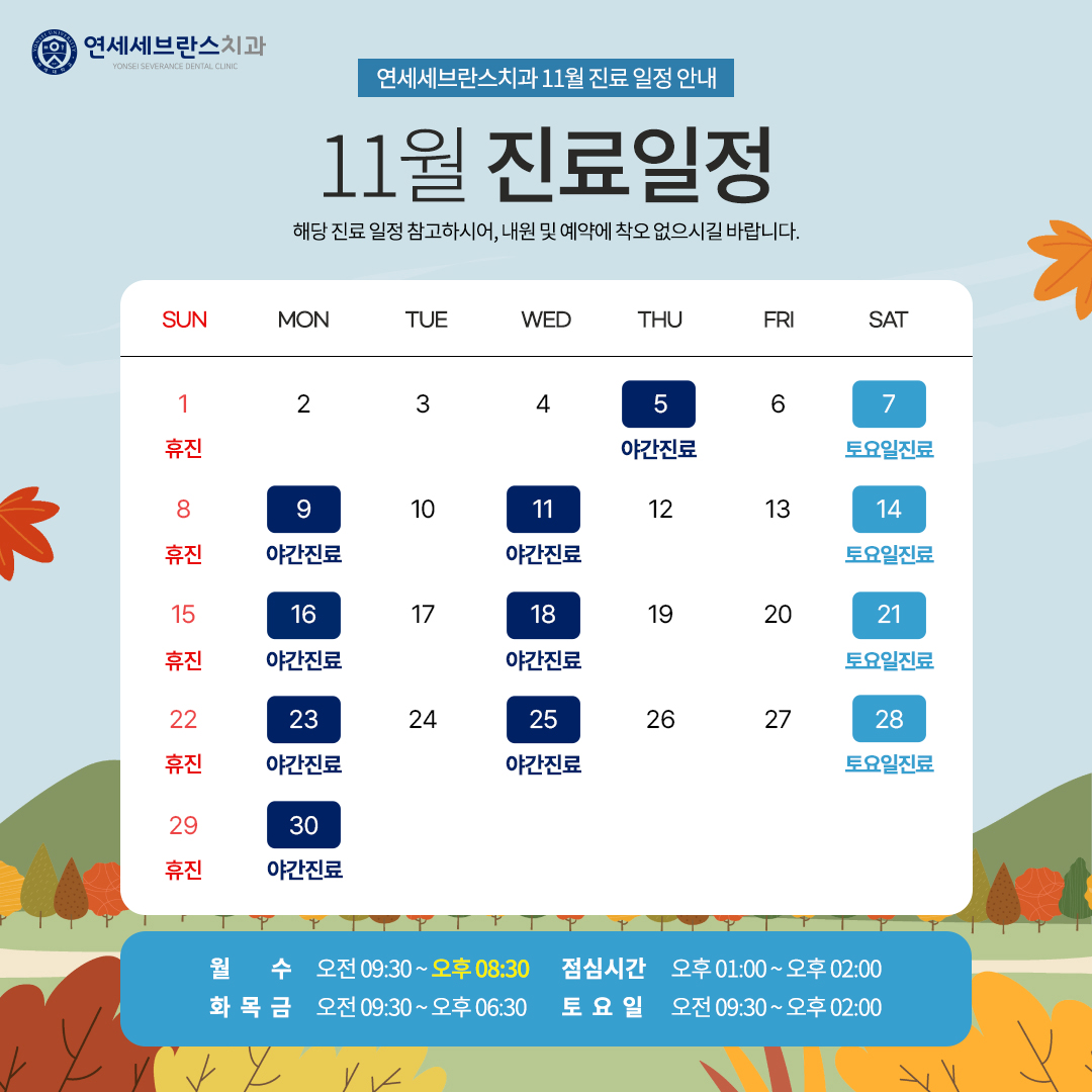 11월 진료안내